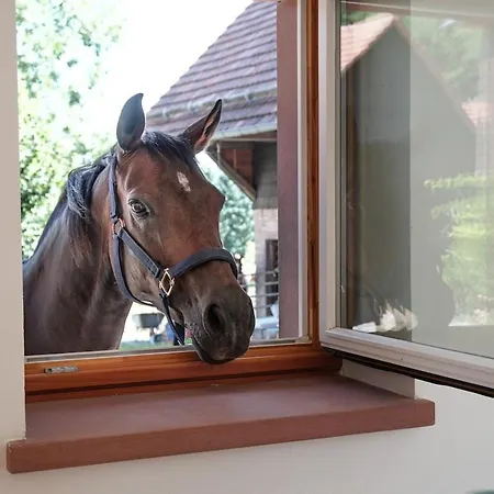 Trommglueck 그라젤렌바흐