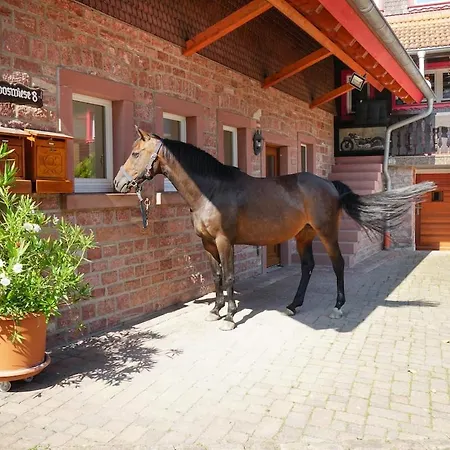 Trommglueck Apartmán Grasellenbach