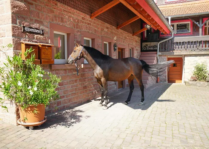 Trommglueck Appartamento Grasellenbach